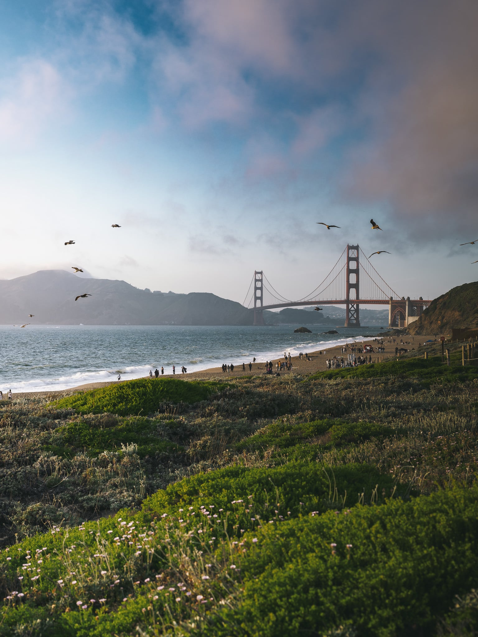 Golden Gate Bridge gezien vanaf Baker Beach met meeuwen en wilde bloemen op de voorgrond