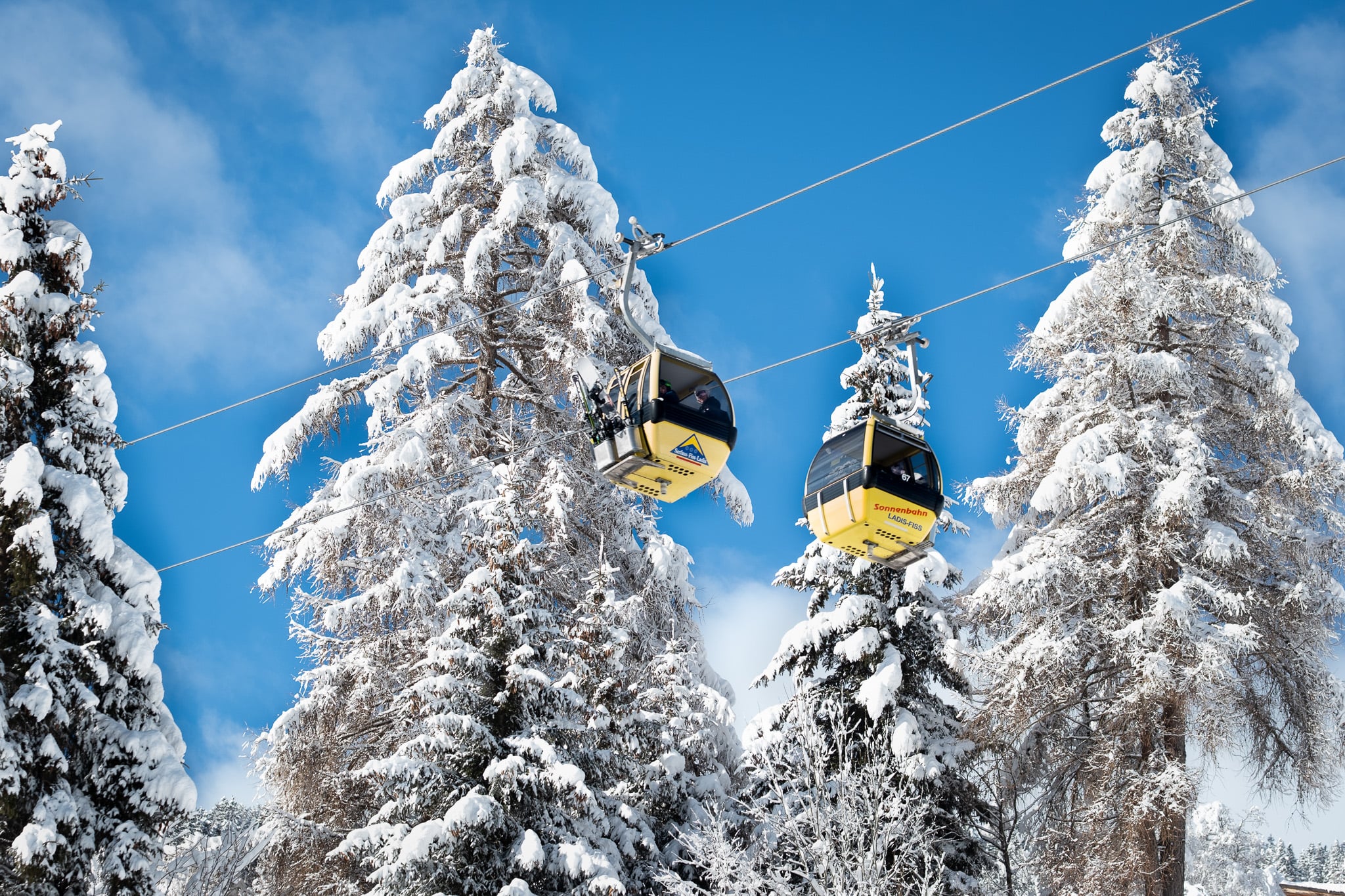 Twee gele gondels passeren tussen besneeuwde bomen - dubbele skiliften systeem