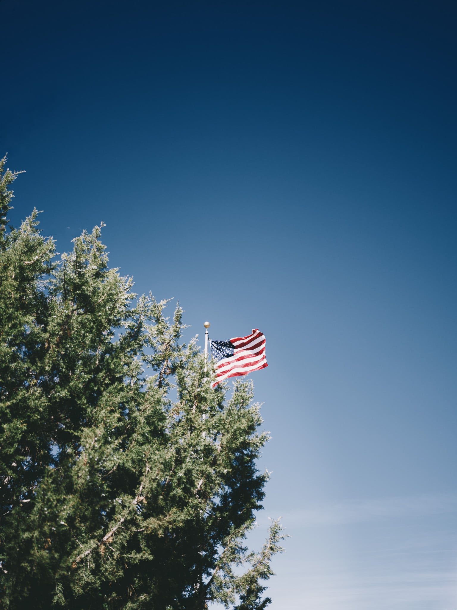 Amerikaanse vlag wapperend boven een groene naaldboom tegen een strakblauwe hemel