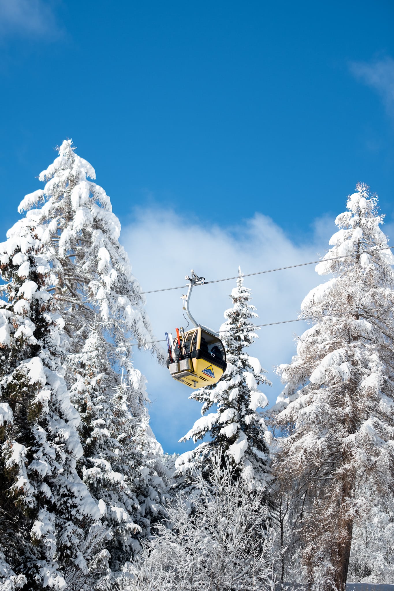 Moderne gondellift cabine tussen winterse sparren - kabelbaan infrastructuur